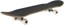 Tactics Oval Logo 7.75 Complete Skateboard - angle